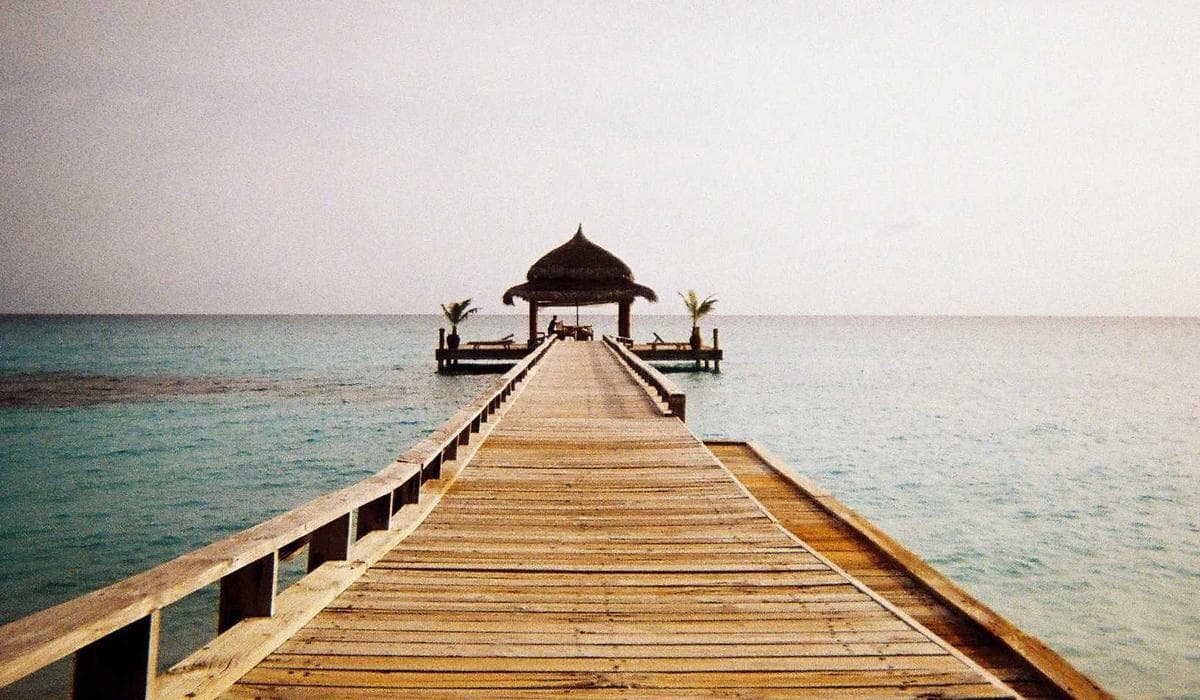 Cover image for the article “When Your Nervous System Says No Before You Do”